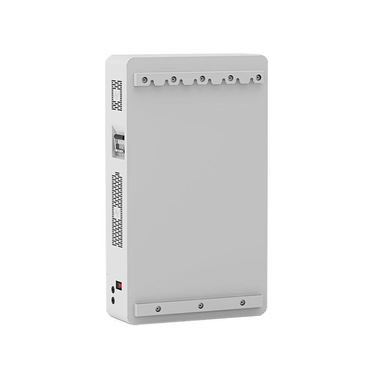 Wall-mounted monitor enclosure with logo engraving