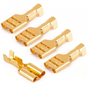 Gold-Plated Brass Terminals